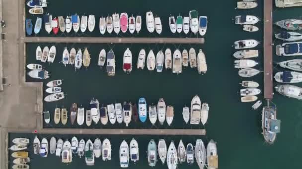 Vista Cima Para Baixo Marina Cheia Barcos — Vídeo de Stock