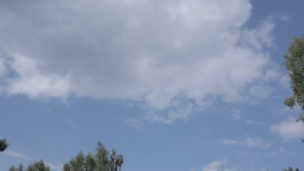 タイムラプス雲空の木 — ストック動画
