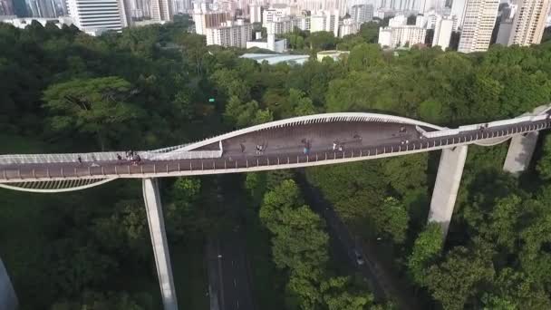 Vista Aérea Horizonte Singapura Ponte Onda Sobrevoo Drone Diurno — Vídeo de Stock