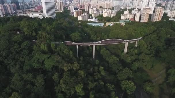 Αεροφωτογραφία Του Ορίζοντα Της Σιγκαπούρης Γέφυρα Κύμα Την Ημέρα Drone — Αρχείο Βίντεο