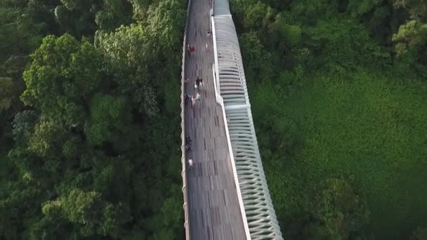 Letecký Pohled Panorama Singapuru Vlnový Most Přelet Letounu Přes Den — Stock video