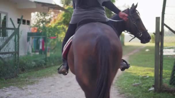 Cavaleiro Montando Cavalo Marrom Escuro Dia Ensolarado — Vídeo de Stock