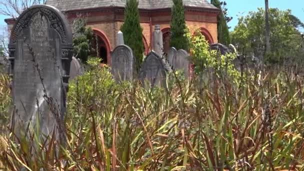 Alte Grabsteine Auf Überwachsenem Friedhof — Stockvideo