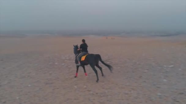 向Dji Mavic Air开枪 Fps Color分级 在吉萨大金字塔的映衬下 骑马在沙漠中央 — 图库视频影像