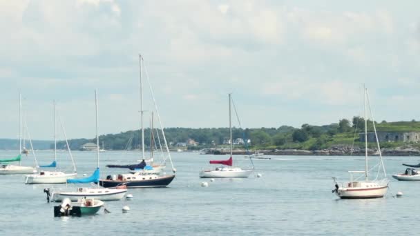 Tittar Segelbåtar Förankrade Hamn Vid Willard Beach Maine — Stockvideo