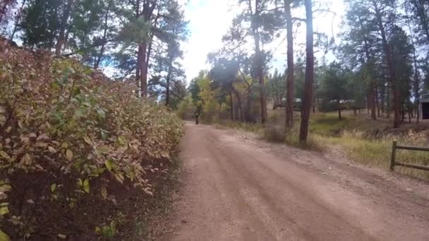 コロラド州のいくつかのローカルコースでのサイクリング — ストック動画