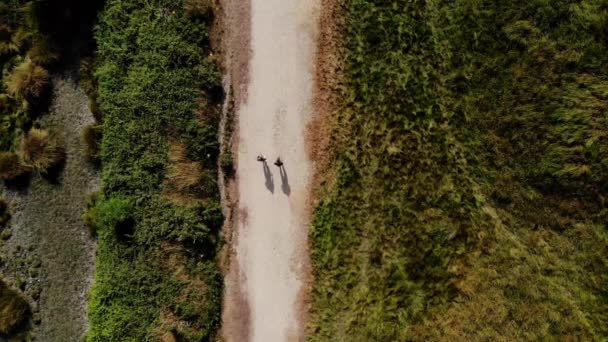 Letecký Shora Dolů Záběr Dvou Lidí Kráčejících Cestě — Stock video