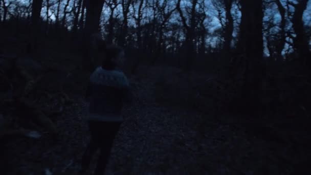 夜の暗い森追いかけ逃げする若い女性カメラの動き安定したジンバルの上でドリーを追跡した後のカメラ暗い雰囲気 — ストック動画