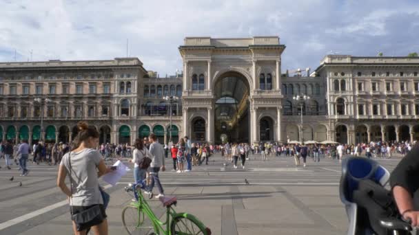 Pidgin Flyger Duomo Torget Milano Italien — Stockvideo