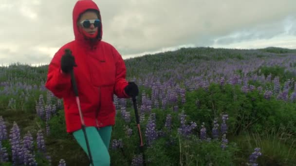 Δραματική Iceland Τοπίο Άτομο Πεζοπορία Στο Μονοπάτι Κάμερα Μετά Την — Αρχείο Βίντεο