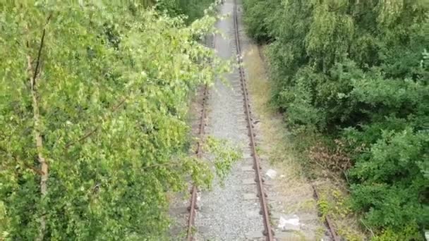 Eski Kullanılmayan Tren Rayları Aşırı Büyümüş Yapraklar Çalılar Ağaçlar Yabani — Stok video