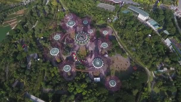Luftaufnahme Von Gardens Bay Singapur Drohnenüberflug Tag — Stockvideo