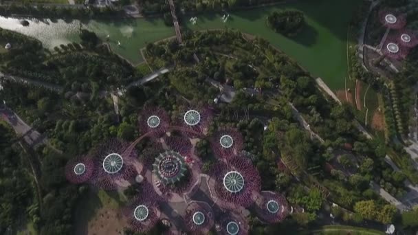 Повітряний Вид Садів Бей Сінгапур Денний Політ Дрона — стокове відео