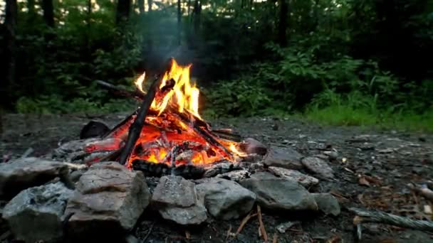 Ognisko Red River Gorge — Wideo stockowe