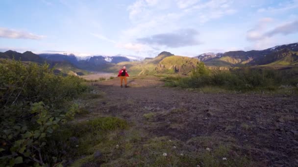 美しい夏の夕日の間 ソルスモークアイスランドで北欧の男性ハイキング 雄大なアイスランドの高原の風景 力強い山々の景色と穏やかな青空 — ストック動画