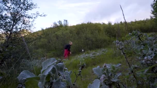 Een Nordic Male Wandeltocht Thorsmork Ijsland Een Prachtige Zomeravond Majestueuze — Stockvideo