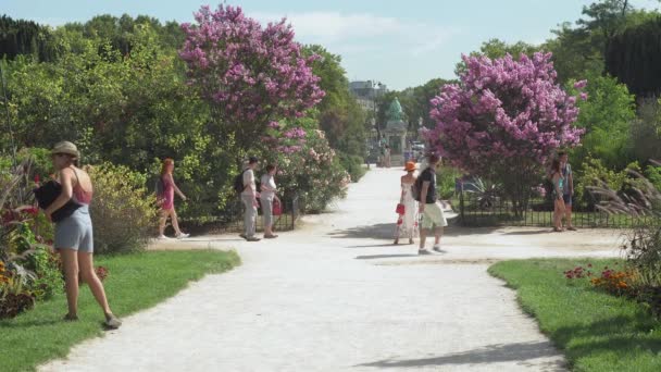 在巴黎的Jardin Des Plantes中 人们在小径上行走的景象 — 图库视频影像