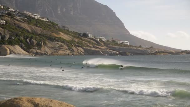 Surfers Rijden Golven Kaapstad Zuid Afrika Bij Zonsopgang — Stockvideo