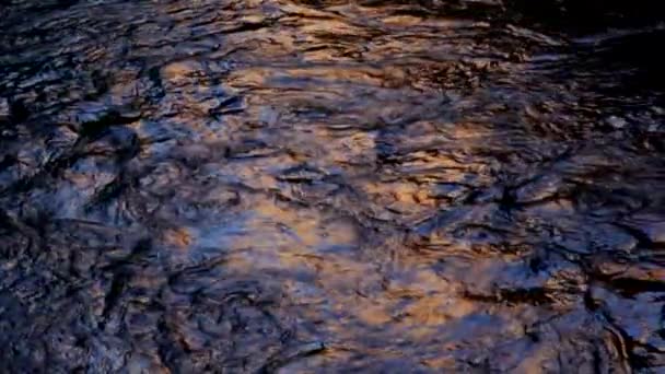 Vista Del Glitter Colorato Dell Acqua — Video Stock