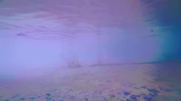 Podwodne Kroki Płytkiej Wodzie — Wideo stockowe