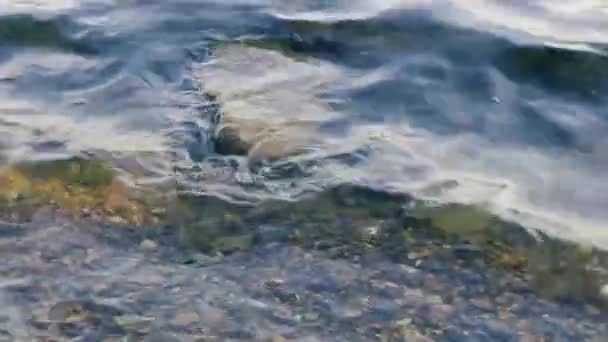 スローモーションで石の上で波がクラッシュ — ストック動画