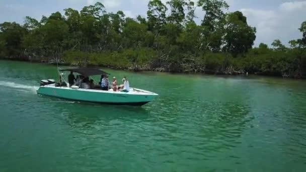 Boat Cruising Caribbean Ocean Water Coastline Jungle Belize — Stock Video