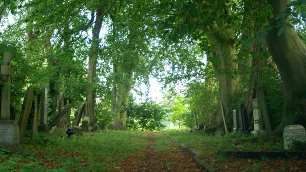 Vista Escena Del Cementerio Woodland — Vídeo de stock