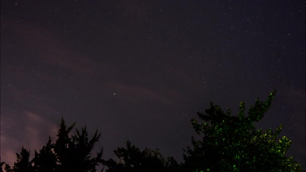 Timelapse Beautiful Starry Night Sky Spinning Time Silhouetted Tree Branches — Stock Video