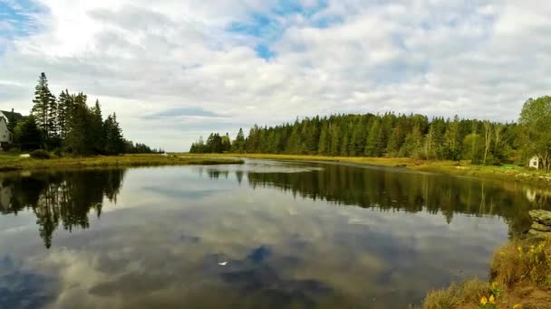 Ferme Surplombant Une Rivière Vierge — Video