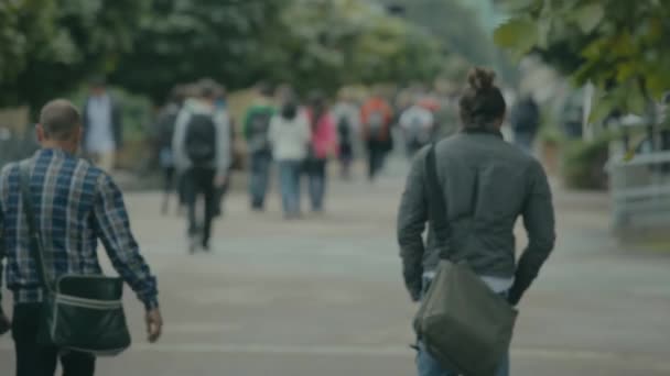 College Students Bags Backpacks Walk Classes Away Camera — Stock Video