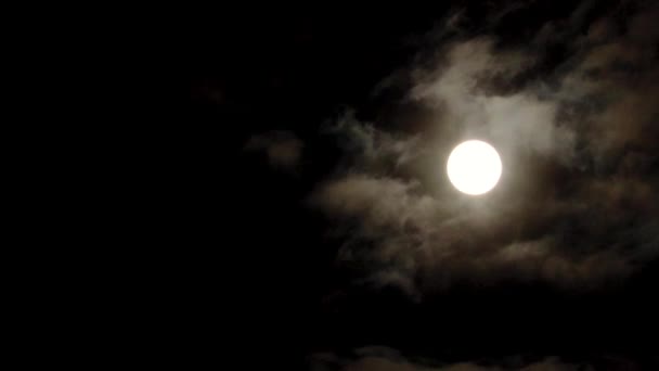 Vollmond Nachthimmel Natur — Stockvideo