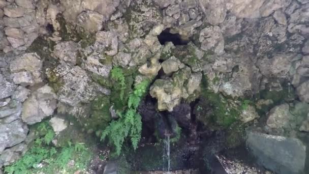 Fresh Water Spring Located Bussaco Woods — Stock Video