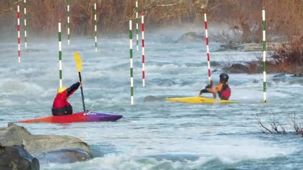 Kayakers Racing Nedströms Floden — Stockvideo