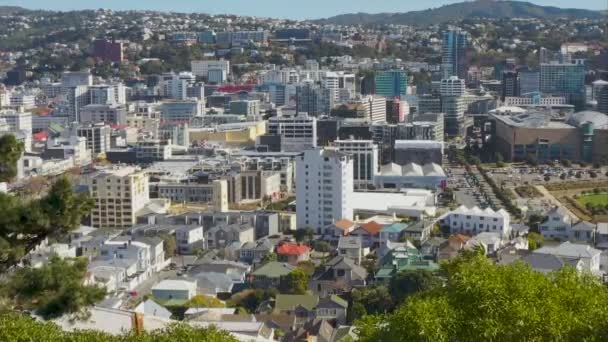 Nueva Zelanda Capital Wellington City Zoom Aéreo Través Línea Árboles — Vídeos de Stock