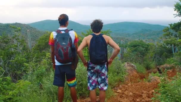 在这段录像中 你可以看到两个年轻的男人站在热带异国他乡的某个地方 凝视着丛林的全景 — 图库视频影像