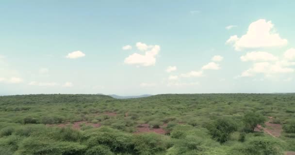 Drohnenbild Einer Halbtrockenen Wüste — Stockvideo