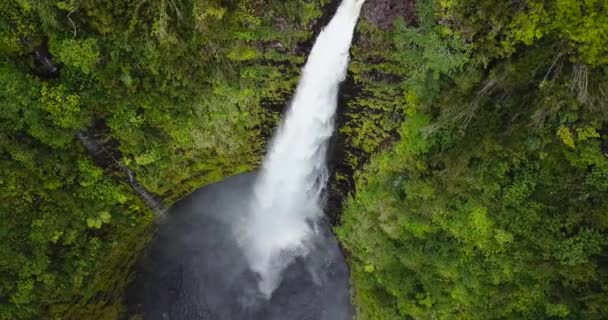 Drone Por Encima Akaka Cae Hawai Las Cataratas Son 100 — Vídeos de Stock