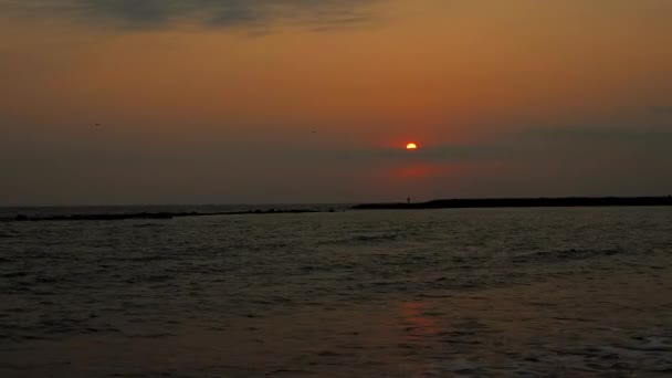 Zeemeeuwen Vliegen Bij Zonsondergang Het Silhouet Van Een Persoon Golfbreker — Stockvideo