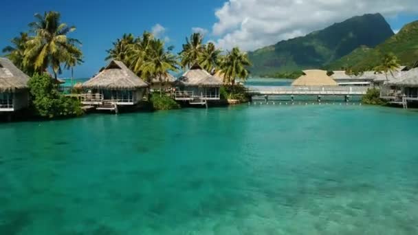 Aerial Drone Shot Overwater Bungalows Beautiful Blue Pacific Moorea French — Stock Video