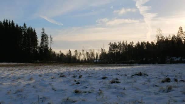 Uma Vista Inverno Norte Suécia — Vídeo de Stock