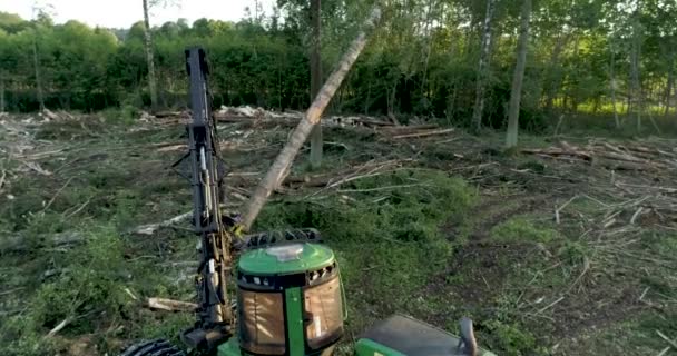 Árbol Corte Cosechadora Bosque — Vídeos de Stock