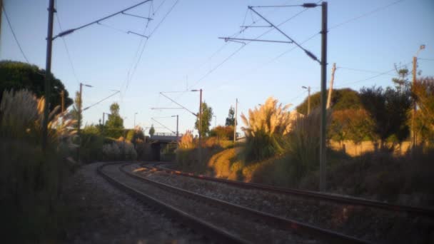 葡萄牙波尔图 黄昏时分 平静的风轻轻地吹拂着铁路沿线的树木和植物 — 图库视频影像