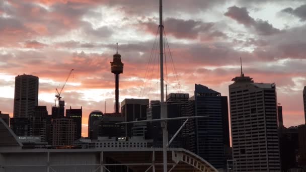 Zonsopkomst Boven Sydney City Vanuit Pyrmont Skyline Van Sydney Achtergrond — Stockvideo