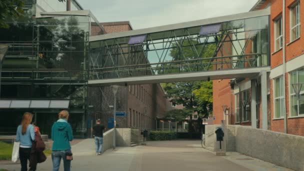 Hombres Mujeres Jóvenes Caminan Una Calle Del Campus Mientras Una — Vídeos de Stock