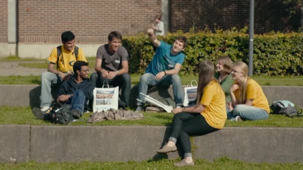 Mahasiswa Universitas Bersantai Halaman Bawah Sinar Matahari Dan Mengobrol Orang — Stok Video