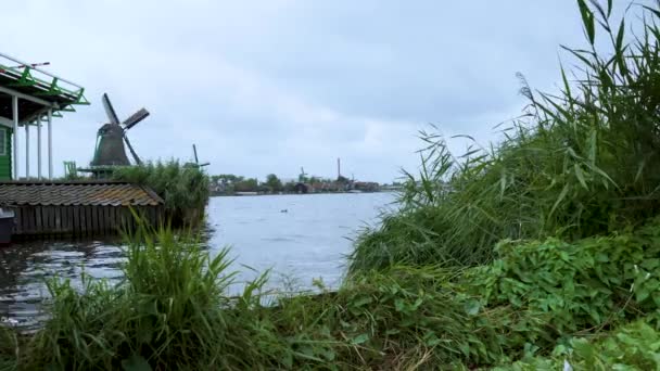 Blick Auf Eine Reihe Holländischer Windmühlen Auf Einem Kanal — Stockvideo