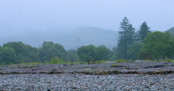 Blick Auf Den Strand Von Loch Linnet Morgendlichen Regensturm — Stockvideo