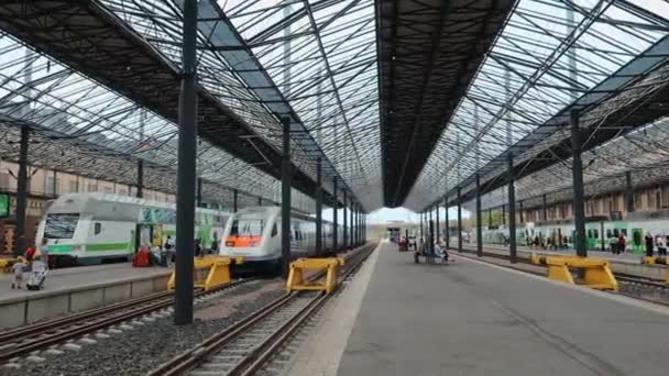 Interior Helsinki Railway Station Its Glass Roof Trains Waiting — Stock Video