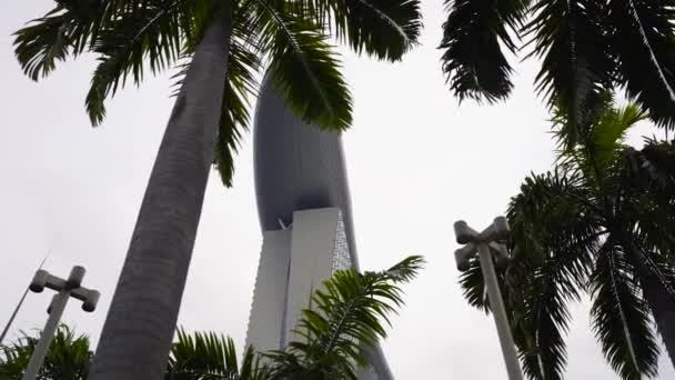 Marina Bay Zand Van Onder Palm Bomen Singapore — Stockvideo