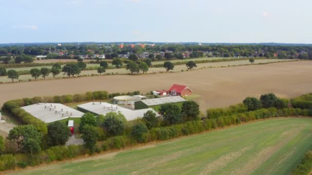 Vista Aérea Campo Agrícola Con Tractor — Vídeo de stock